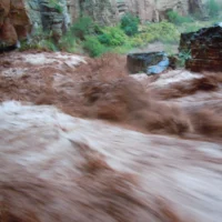 Taken our class before? Need a refresher?   Register here for our ASBOG® Exam Course: